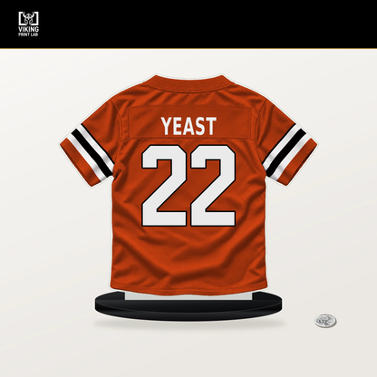 Russ Yeast number 22 Cincinnati Bengals jersey stand with included black base.