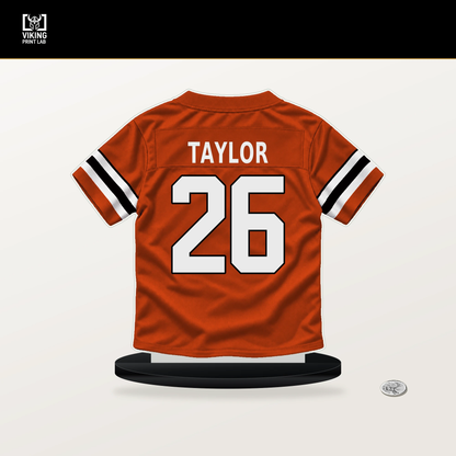 Ja'Sir Taylor number 26 Cincinnati Bengals jersey stand with included black base.
