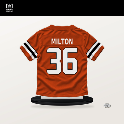 Kendall Milton number 36 Cincinnati Bengals jersey stand with included black base.