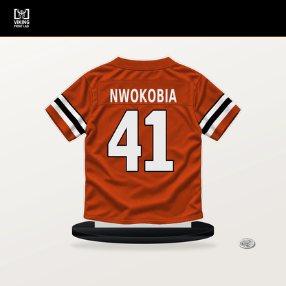 Isaiah Nwokobia number 41 Cincinnati Bengals jersey stand with included black base.
