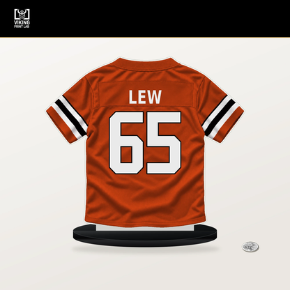 Connor Lew number 65 Cincinnati Bengals jersey stand with included black base.