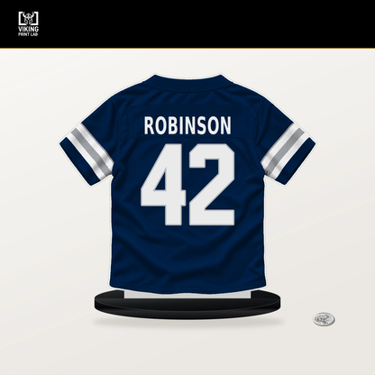 Curtis Robinson number 42 Dallas Cowboys jersey stand with included black base.