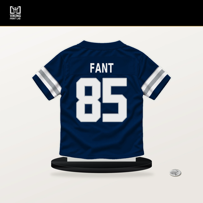 Princeton Fant number 85 Dallas Cowboys jersey stand with included black base.