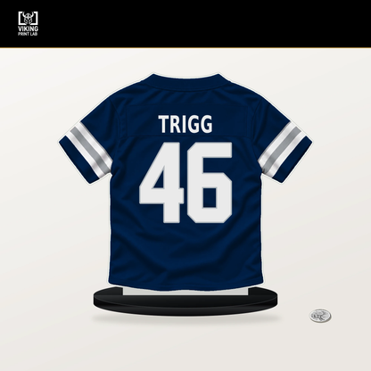 Michael Trigg number 46 Dallas Cowboys jersey stand with included black base.