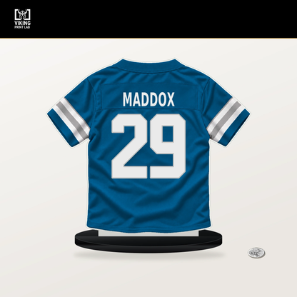 Avonte Maddox number 29 Detroit Lions jersey stand with included black base.