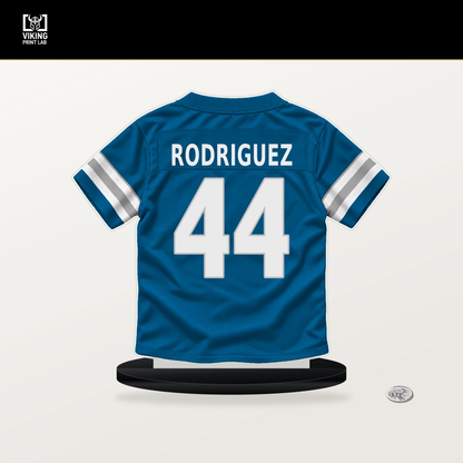 Malcolm Rodriguez number 44 Detroit Lions jersey stand with included black base.