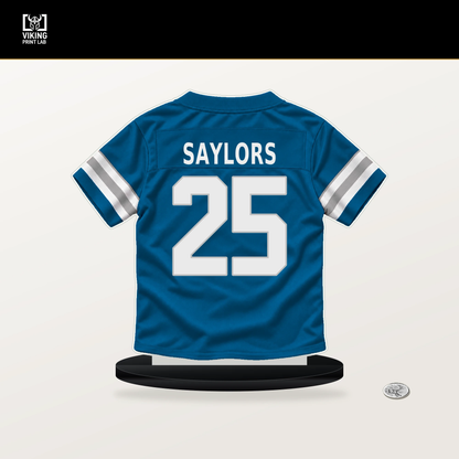 Jacob Saylors number 25 Detroit Lions jersey stand with included black base.