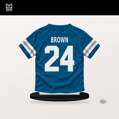 Aamaris Brown number 24 Detroit Lions jersey stand with included black base.