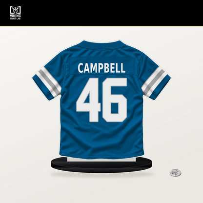 Jack Campbell number 46 Detroit Lions jersey stand with included black base.