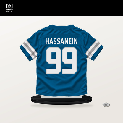 Ahmed Hassanein number 99 Detroit Lions jersey stand with included black base.