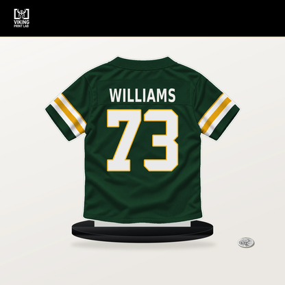 John Williams number 73 Green Bay Packers jersey stand with included black base.