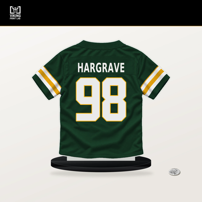 Javon Hargrave number 98 Green Bay Packers jersey stand with included black base.