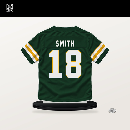 Jonnu Smith number 18 Green Bay Packers jersey stand with included black base.