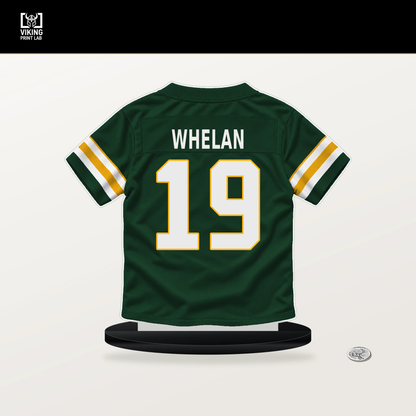 Daniel Whelan number 19 Green Bay Packers jersey stand with included black base.