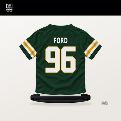 Jonathan Ford number 96 Green Bay Packers jersey stand with included black base.