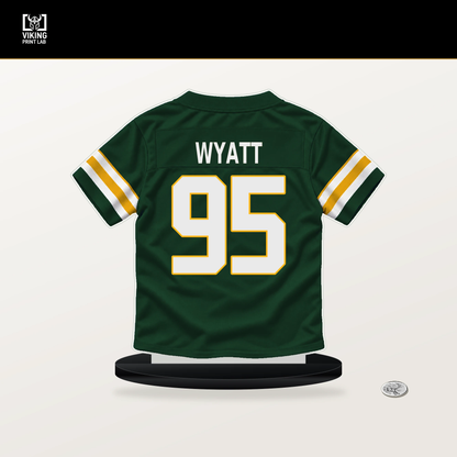 Devonte Wyatt number 95 Green Bay Packers jersey stand with included black base.
