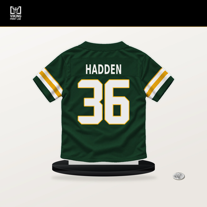 Kamal Hadden number 36 Green Bay Packers jersey stand with included black base.
