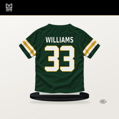 Evan Williams number 33 Green Bay Packers jersey stand with included black base.