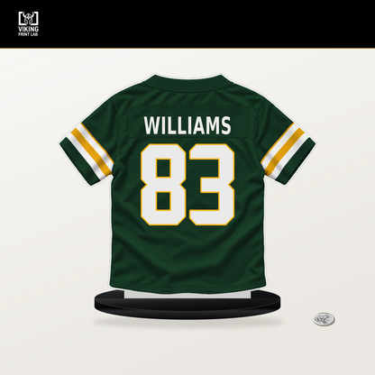 Savion Williams number 83 Green Bay Packers jersey stand with included black base.