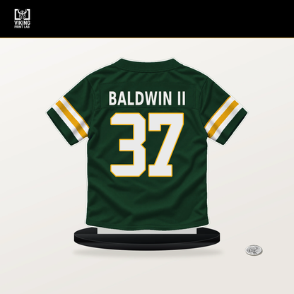 Johnathan Baldwin II number 37 Green Bay Packers jersey stand with included black base.