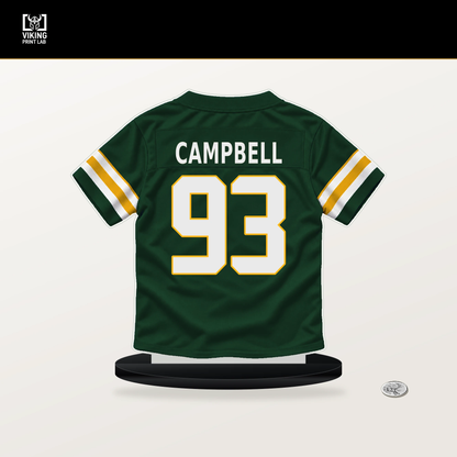 Anthony Campbell number 93 Green Bay Packers jersey stand with included black base.