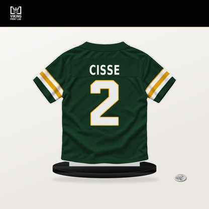 Brandon Cisse number 2 Green Bay Packers jersey stand with included black base.