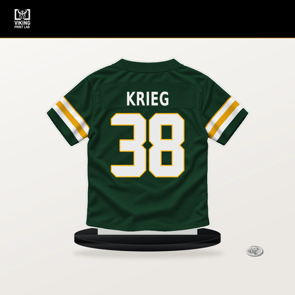 Lenny Krieg number 38 Green Bay Packers jersey stand with included black base.