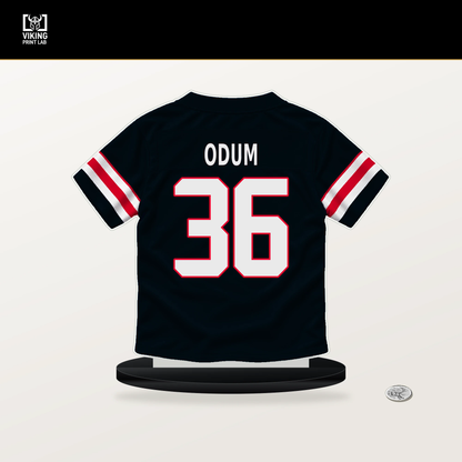 George Odum number 36 Houston Texans jersey stand with included black base.