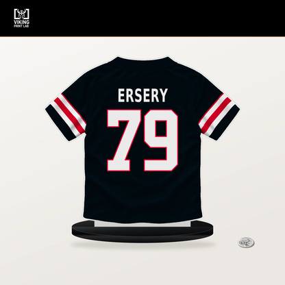 Aireontae Ersery number 79 Houston Texans jersey stand with included black base.