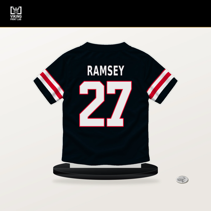 Kamari Ramsey number 27 Houston Texans jersey stand with included black base.