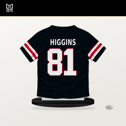 Jayden Higgins number 81 Houston Texans jersey stand with included black base.