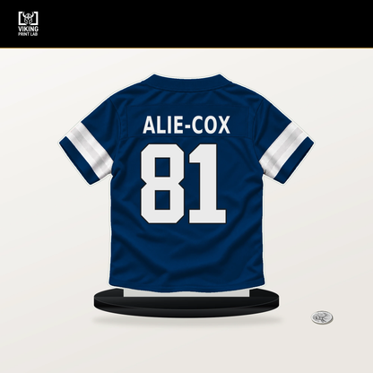 Mo Alie-Cox number 81 Indianapolis Colts jersey stand with included black base.