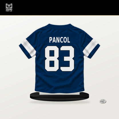 Eli Pancol number 83 Indianapolis Colts jersey stand with included black base.