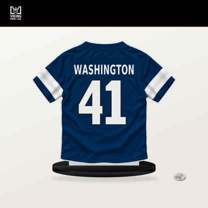 Trey Washington number 41 Indianapolis Colts jersey stand with included black base.