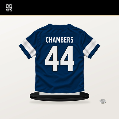 Tahj Chambers number 44 Indianapolis Colts jersey stand with included black base.