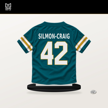Cam'Ron Silmon-Craig number 42 Jacksonville Jaguars jersey stand with included black base.