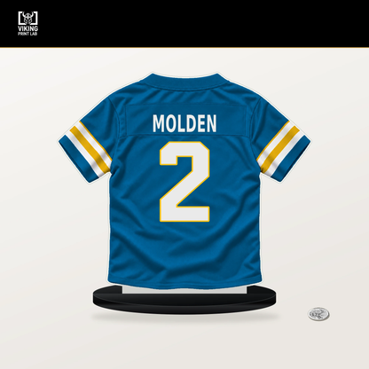 Elijah Molden number 2 Los Angeles Chargers jersey stand with included black base.