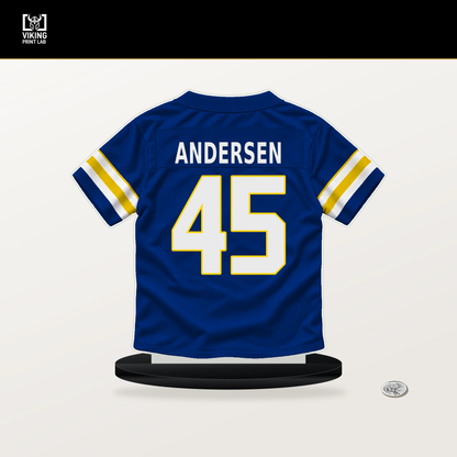 Nick Andersen number 45 Los Angeles Rams jersey stand with included black base.