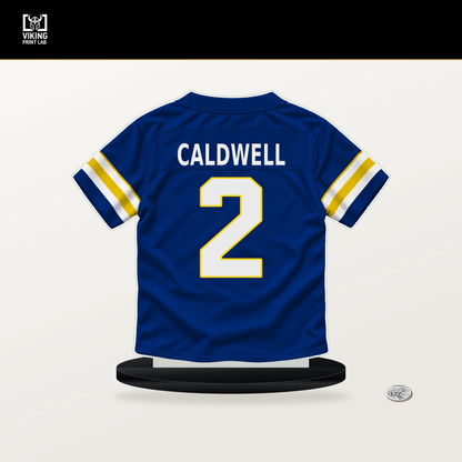 Matthew Caldwell number 2 Los Angeles Rams jersey stand with included black base.