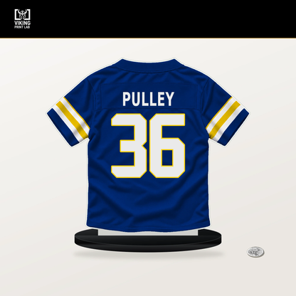 Maximus Pulley number 36 Los Angeles Rams jersey stand with included black base.