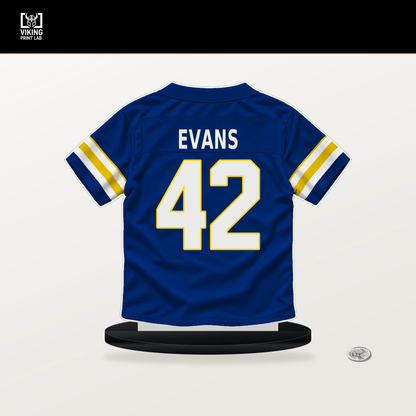 Ethan Evans number 42 Los Angeles Rams jersey stand with included black base.