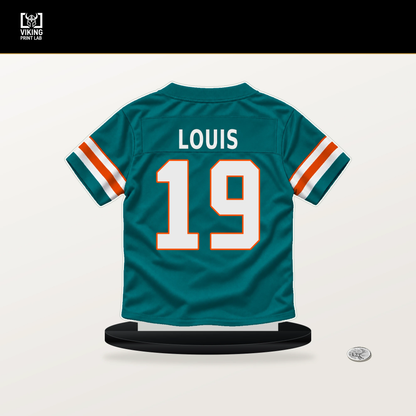 Kyle Louis number 19 Miami Dolphins jersey stand with included black base.