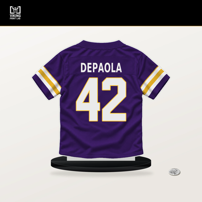 Andrew DePaola number 42 Minnesota Vikings jersey stand with included black base.