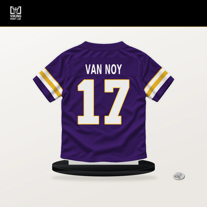 Kyle Van Noy number 17 Minnesota Vikings jersey stand with included black base.