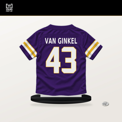 Andrew Van Ginkel number 43 Minnesota Vikings jersey stand with included black base.