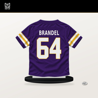 Blake Brandel number 64 Minnesota Vikings jersey stand with included black base.