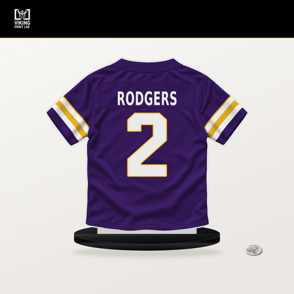 Isaiah Rodgers number 2 Minnesota Vikings jersey stand with included black base.
