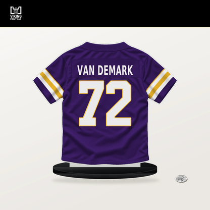 Ryan Van Demark number 72 Minnesota Vikings jersey stand with included black base.