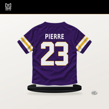 James Pierre number 23 Minnesota Vikings jersey stand with included black base.