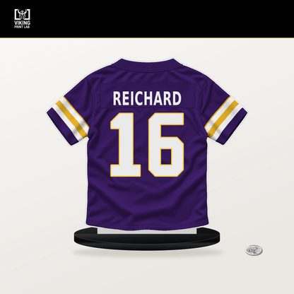 Will Reichard number 16 Minnesota Vikings jersey stand with included black base.